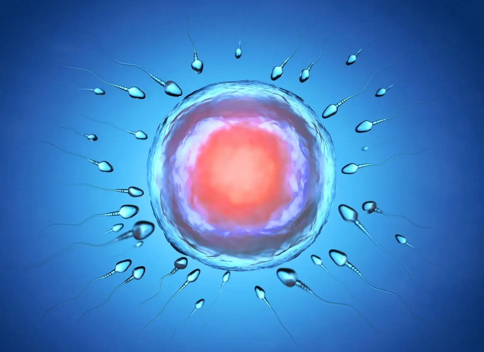 fertilización in vitro